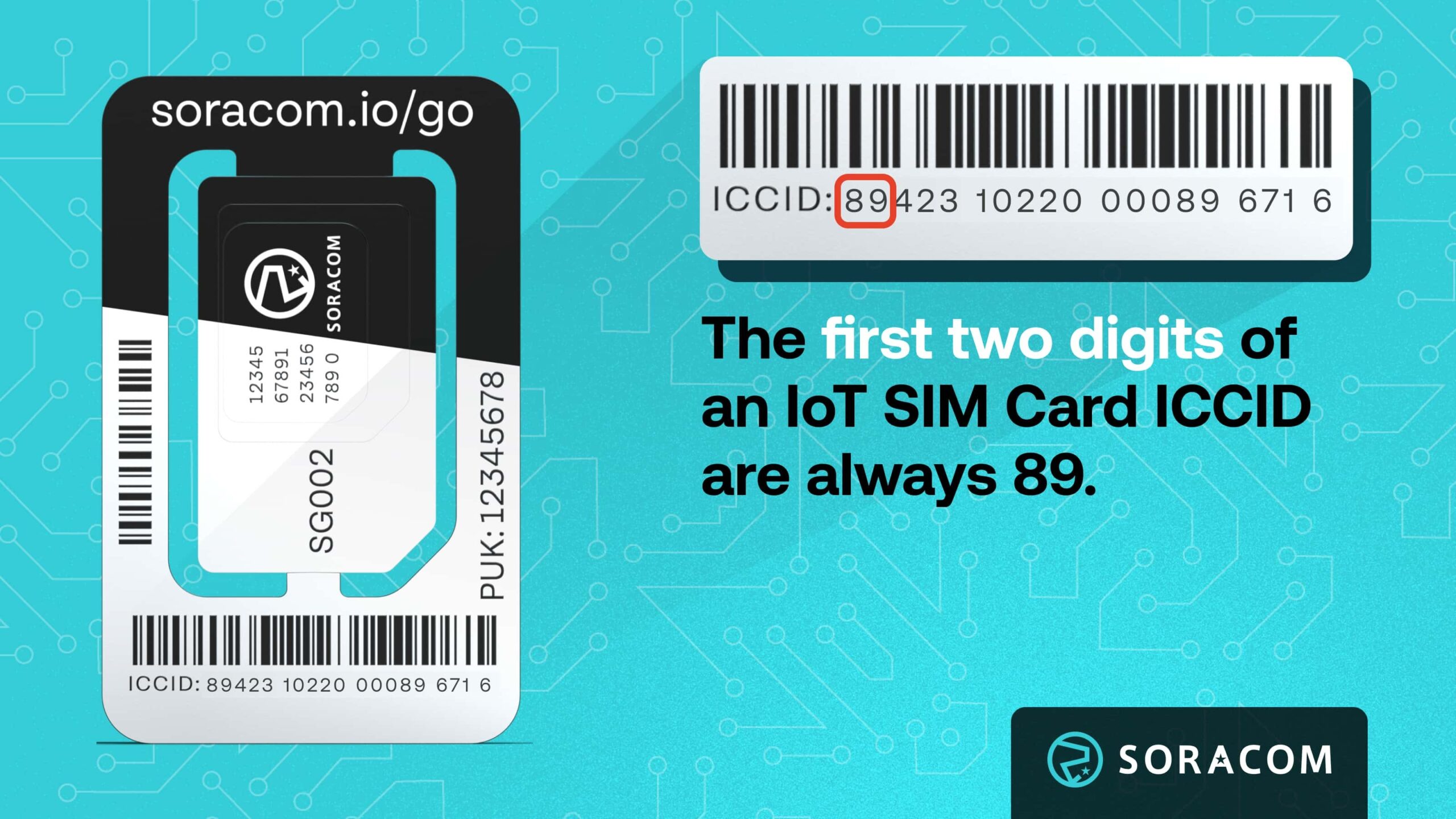 Graphic showing SIM ICCID first two digits