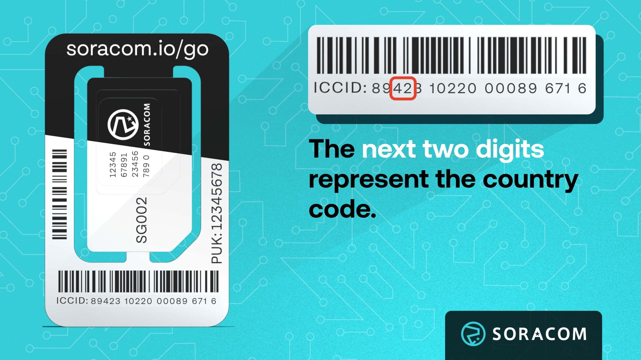 Graphic showing SIM ICCID Country Code