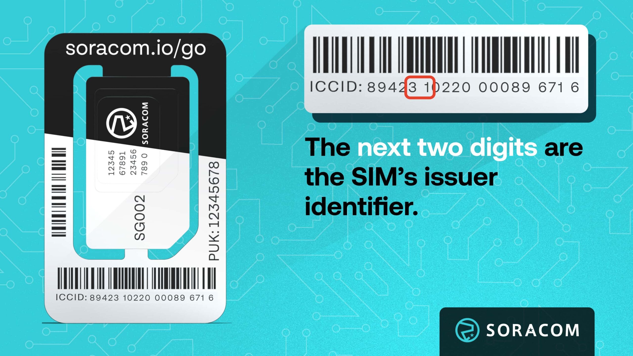 Graphic showing SIM ICCID Issuer ID