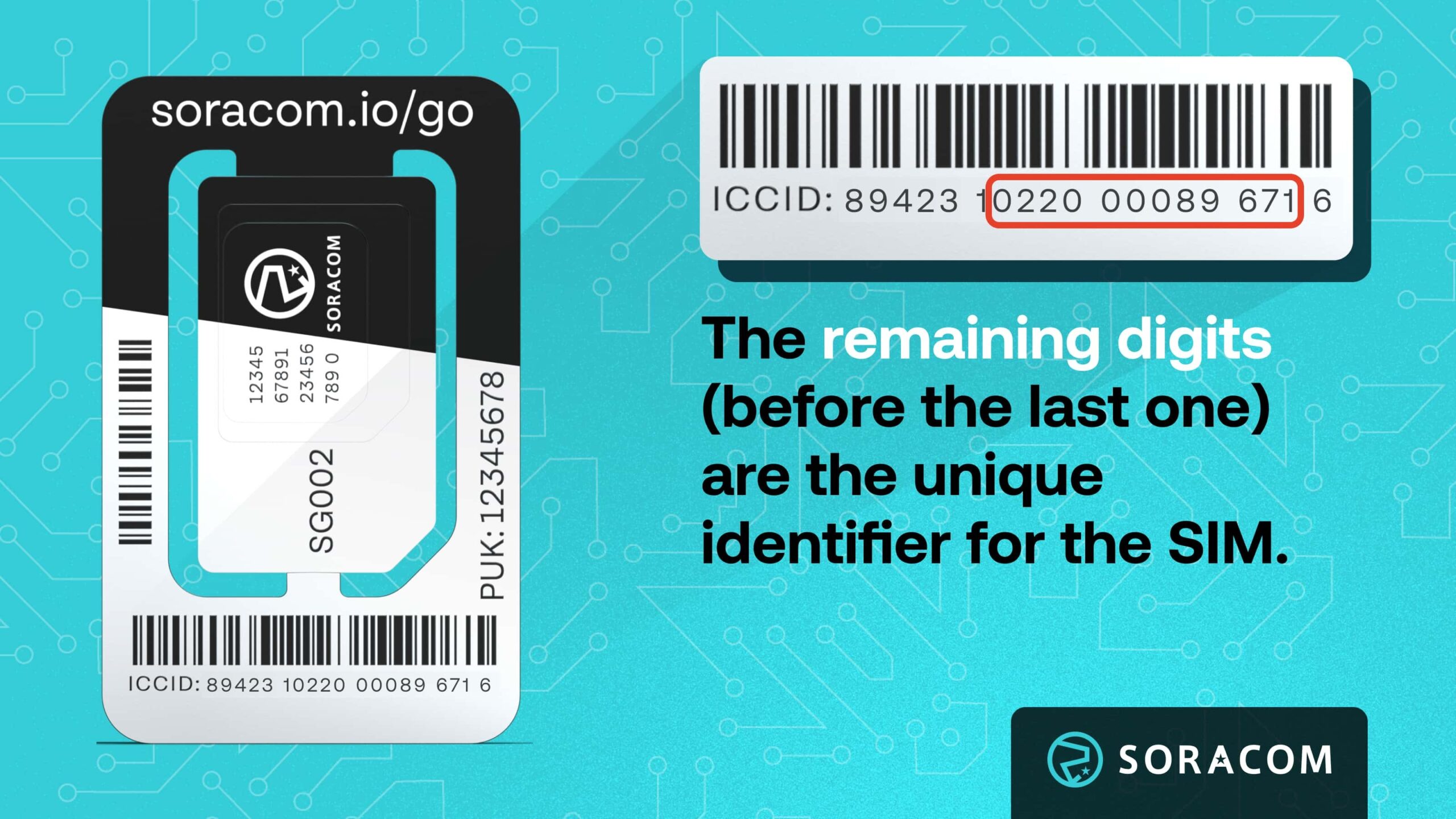 Graphic showing SIM ICCID Unique Identifier